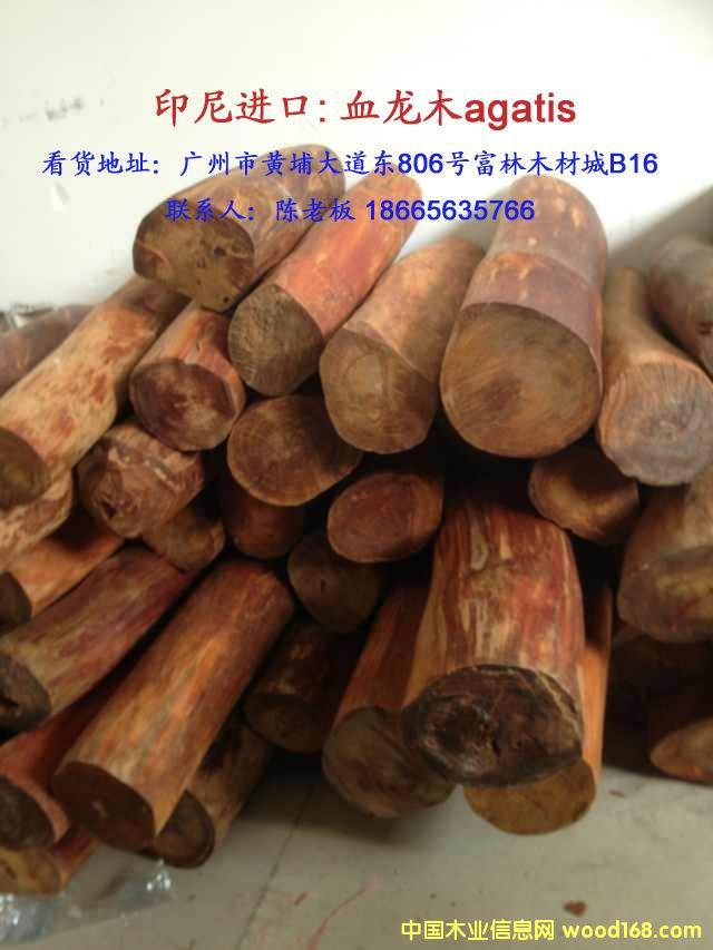 ӡ��Ѫ��ľ��Ԕ��(x��)��B