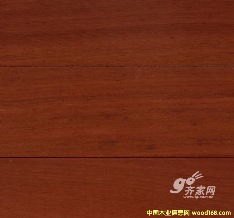 ��ľ��Ԕ����B