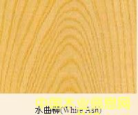 白蠟木的詳細介紹