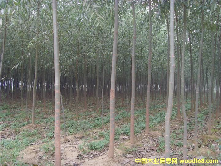 �ؑc����(gu��)������ �_(k��i)ƽ����(gu��)������ �Ƹ�����(gu��)�����繩��(y��ng)