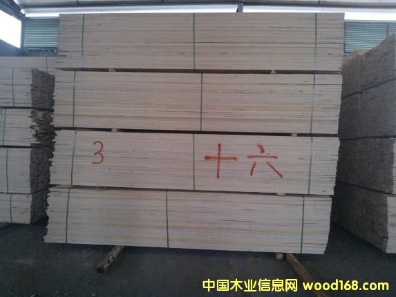 ���������~���ɰ��Ԕ����B