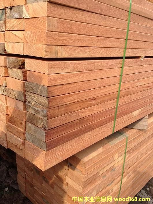 �y��ľ����ľ��Ԕ����B