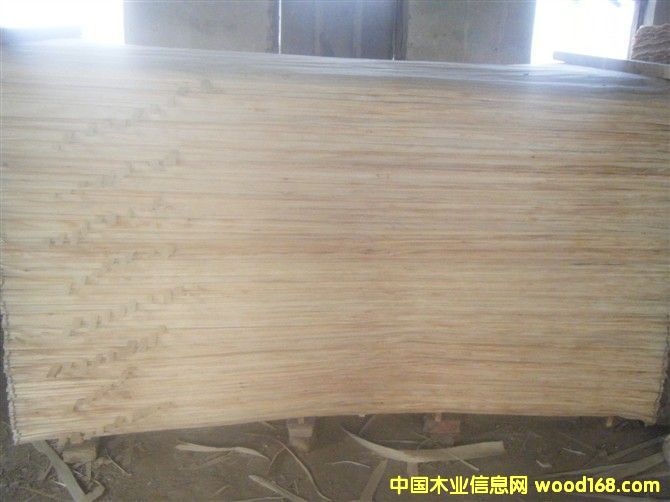 ������ľƤ��Ԕ��(x��)��B