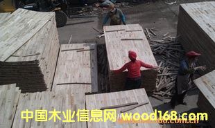 ��ľ����о��Ԕ����B