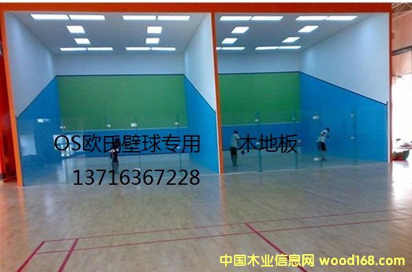 �����^ľ�ذ��Ԕ��(x��)��B