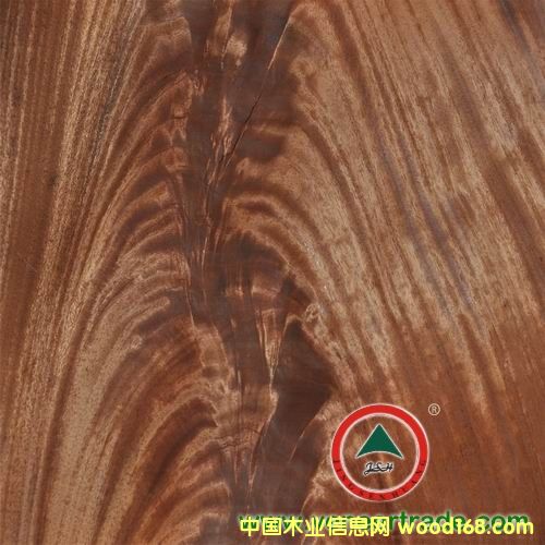 �һ�о��辵�Ԕ����B