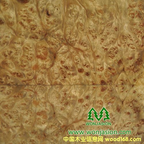 �����Ș����Ԕ����B