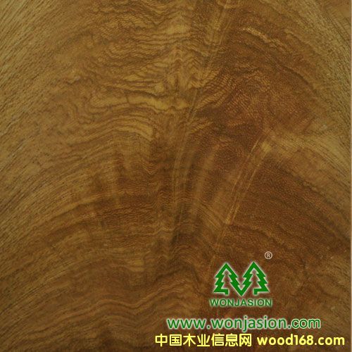 ����Ԕ����B