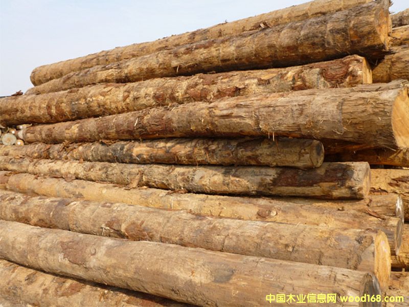 �Fɼ��Ԕ��(x��)��B