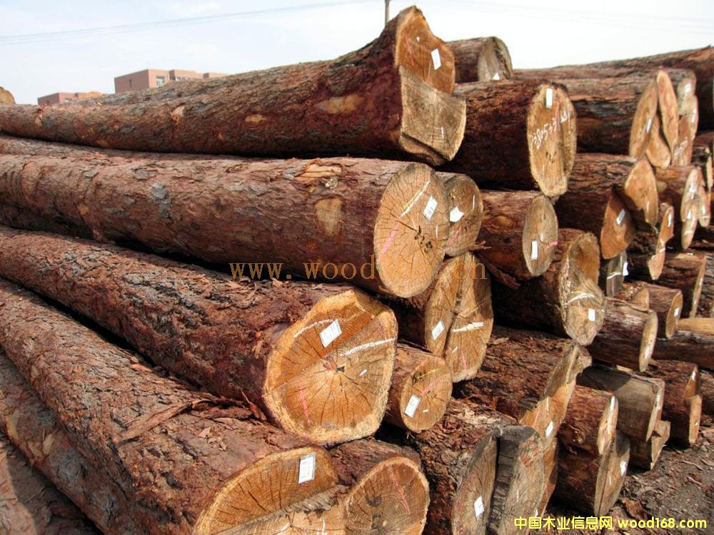 �����ɵ�Ԕ����B