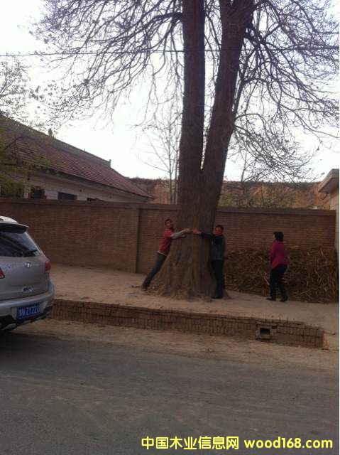 �ľԭľ��Ԕ��(x��)��B