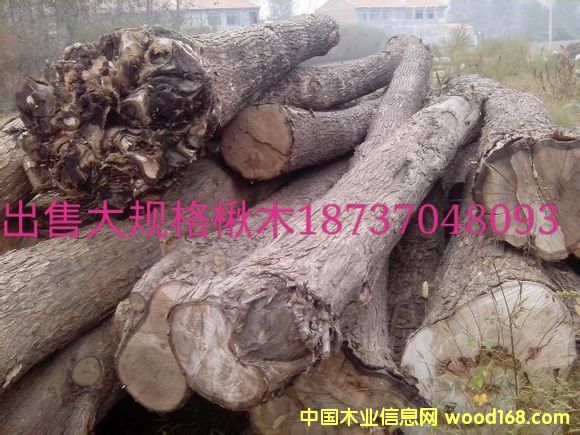 �ľԭľ��Ԕ��(x��)��B