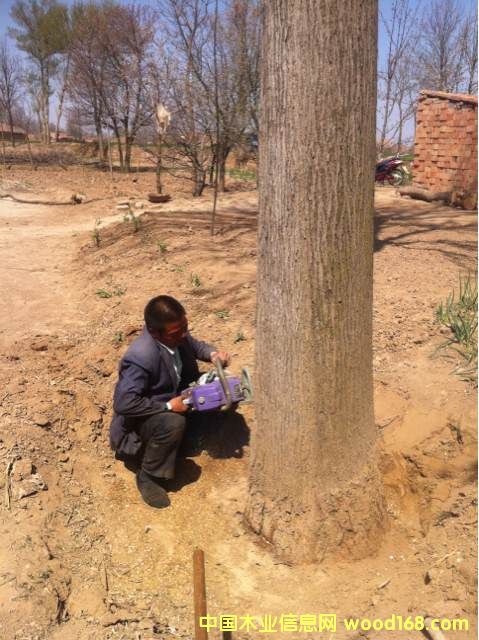 �ľԭľ��Ԕ��(x��)��B