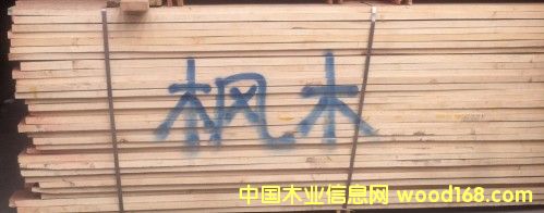 楓木的詳細介紹