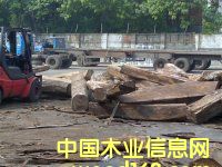 �灆����Ƥ��|������ľ|�������ľ|�S��|�����M�����P