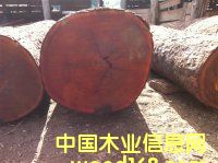 �����Kľ|�����u��|��Ƥɽ��|������ľ|�S��|�����M�����P