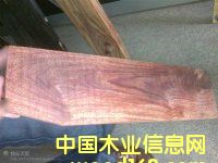 �ɘ�(l��)��|�t����|�ӾS�¸�|�灆����ɣ|�S��|�����M(j��n)�����P(gu��n)