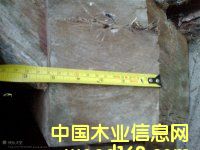 �Fľ��|���p���궹|�������}��|������ľ|�S��|�����M�����P