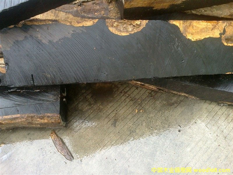 �t��|����|�t̴|����ľ|��ɫ��|���Kľ|�S��|�����M�����P(gu��n)