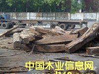 ���s������|���ӗ�ľ|���F����|�S��|�����M(j��n)�����P(gu��n)