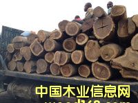 ���p���궹|���L�Kľ|�灆�ǿ����|�S��|�����M(j��n)�����P(gu��n)