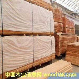 �һ�о�ΰ��Ԕ��(x��)��B