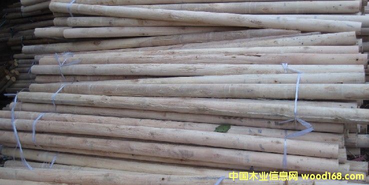 �@ľ����ľо1