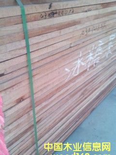 ���ǹ����