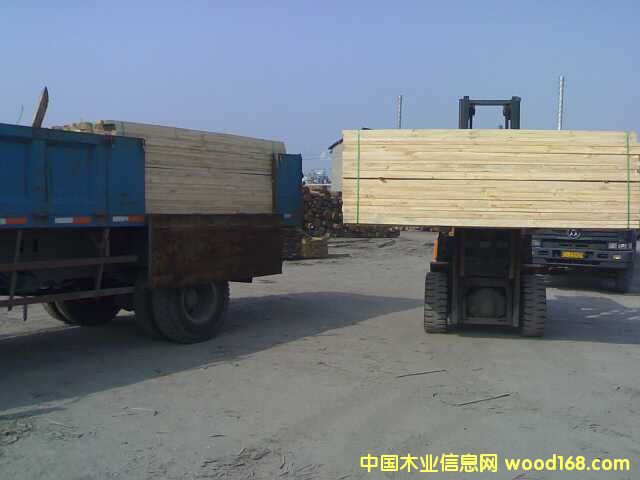 �������l(f��)���~��