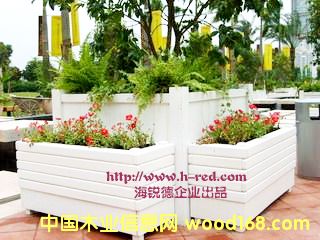 ����5��Ԕ��(x��)��B