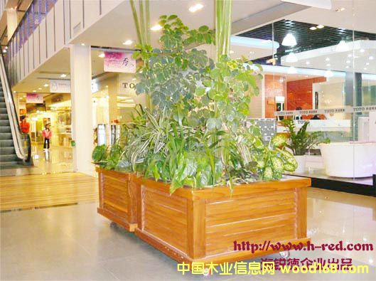 ����2��Ԕ��(x��)��B