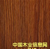 ����ľ��Ԕ����B