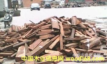 �ϓ��t��֦(��ֺ�S̴)��Ԕ��(x��)��B