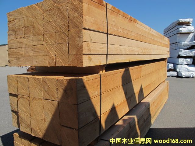 ���ô��FɼAPP��Ԕ����B