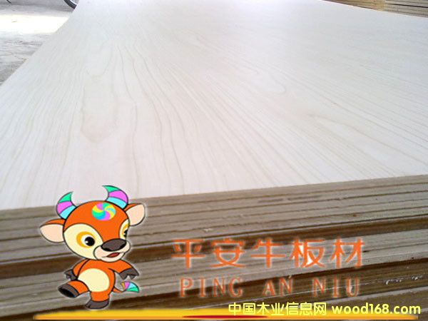 �Ҿ߰��Ԕ����B