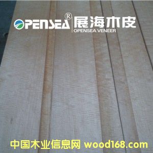 �tӰ��Ԕ����B