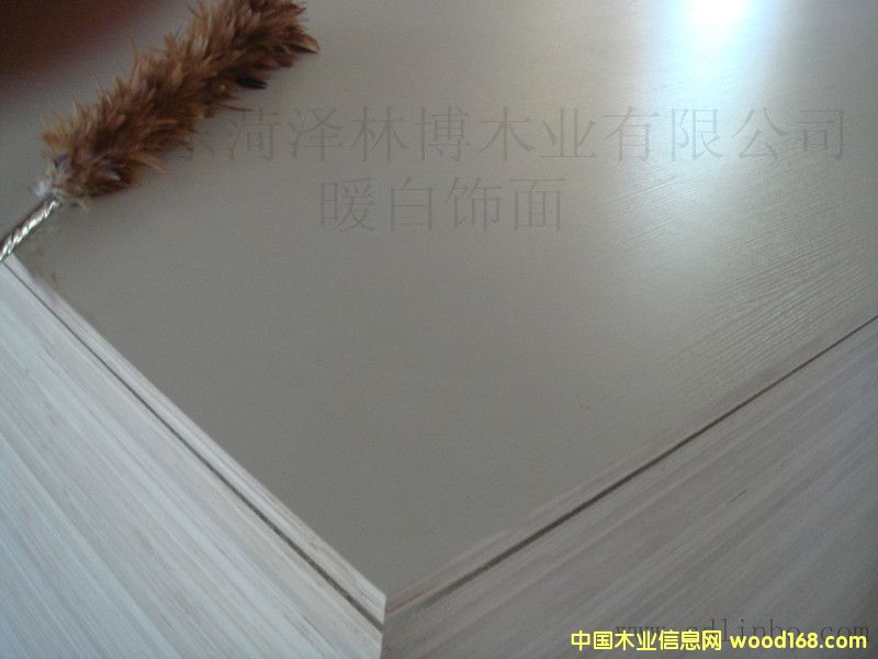 ���B(t��i)���Ԕ����B