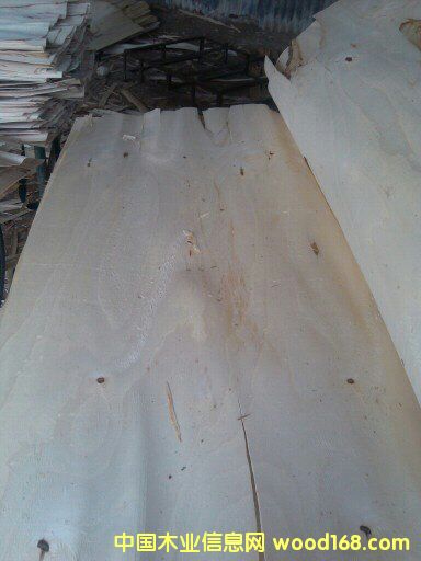 ��ľƤ�ӣ��A�ģ���Ԕ����B