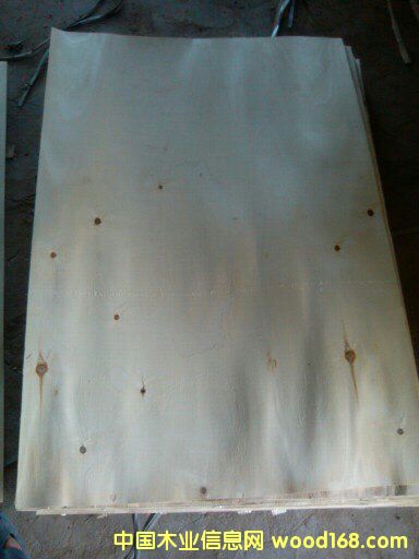 ��ľƤ�ӣ��N�棩��Ԕ����B