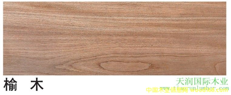 �� ľ Red elm��Ԕ��(x��)��B