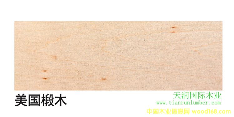 �����ľBasswood