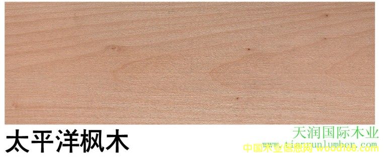 ̫ƽ���ľ PC Maple