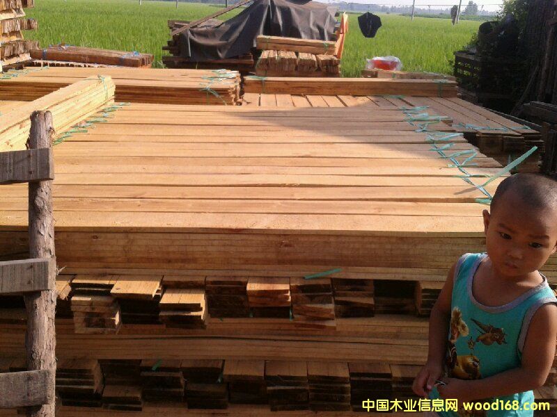 水杉板材的詳細(xì)介紹