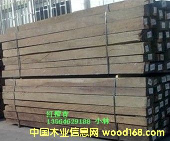 �炐�ȁ��t̴��