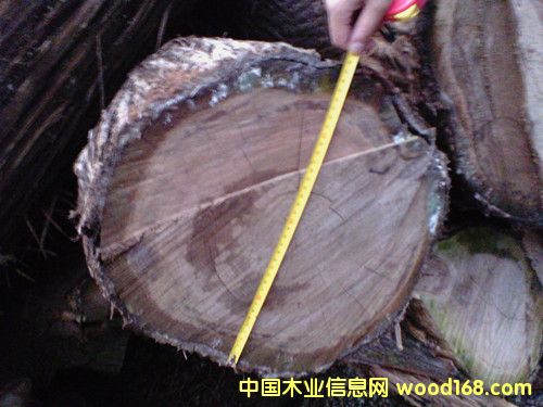 ��ľԭľ��Ԕ��(x��)��B