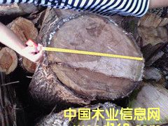 ��ľ��Ԕ��(x��)��B