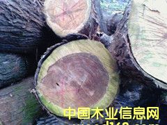 ���ľ��Ԕ��(x��)��B