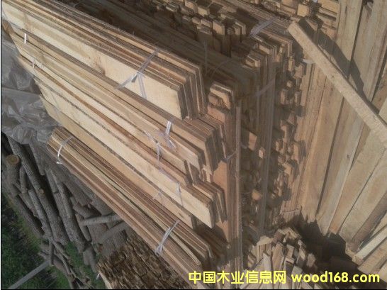 ��ľ�l����ľ��