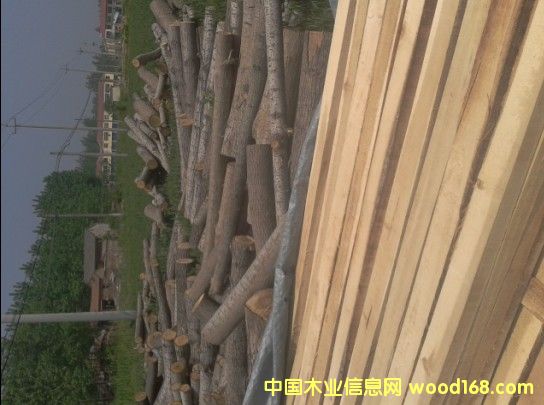 ��ľ�����ľ�l��ľ��