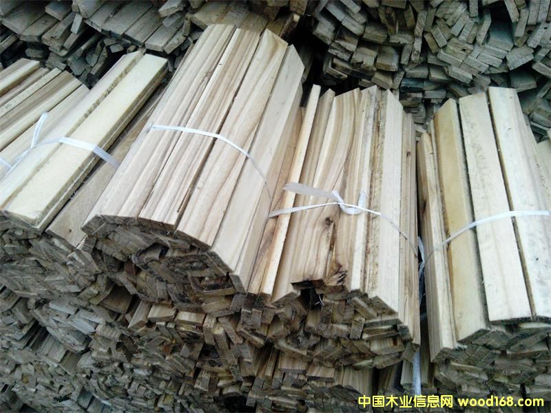 피�(j��)�Ȍ������L(zh��ng)��Ԕ��(x��)��B